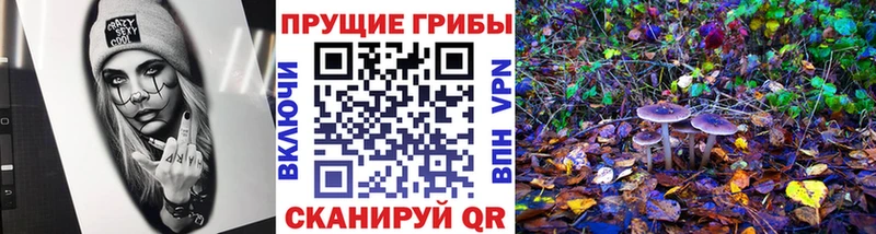 Галлюциногенные грибы Psilocybe  Чебаркуль 